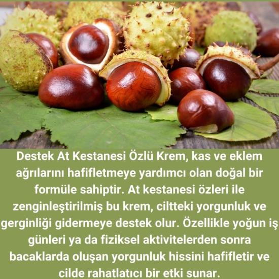 Destek At Kestanesi Özlü Krem | 45 gr